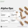 Humming Herbs Alpha GPC Complex 11-in-1 – Alpha-GPC, Lion’s Mane,