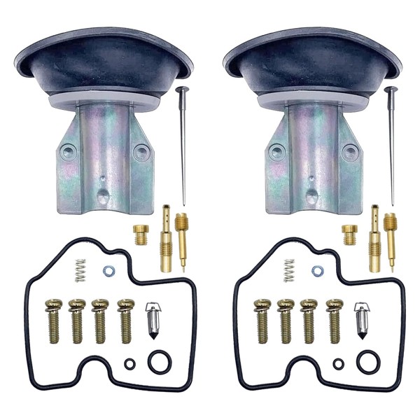 Generic 2 Pack Automatic Carburetor Rebuild Repair Kit with Plunger