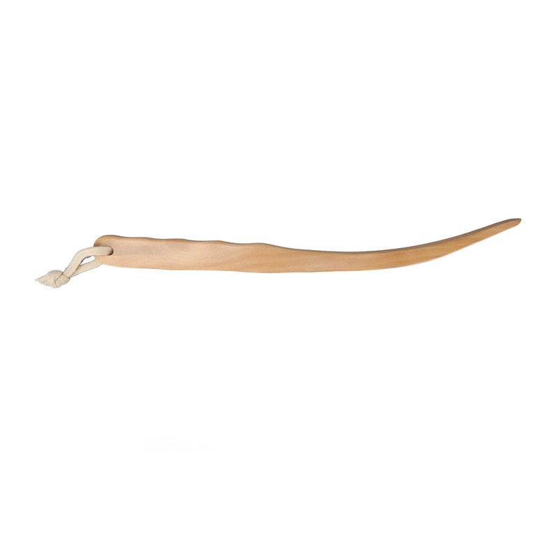 Lotion Applicator EVA Wooden Handle 4 Replaceable Pads Shower Brush