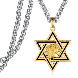 Star of David Necklace for Men Sterling Silver Lion Star of David Necklace Jewish Jewelry for Men Women