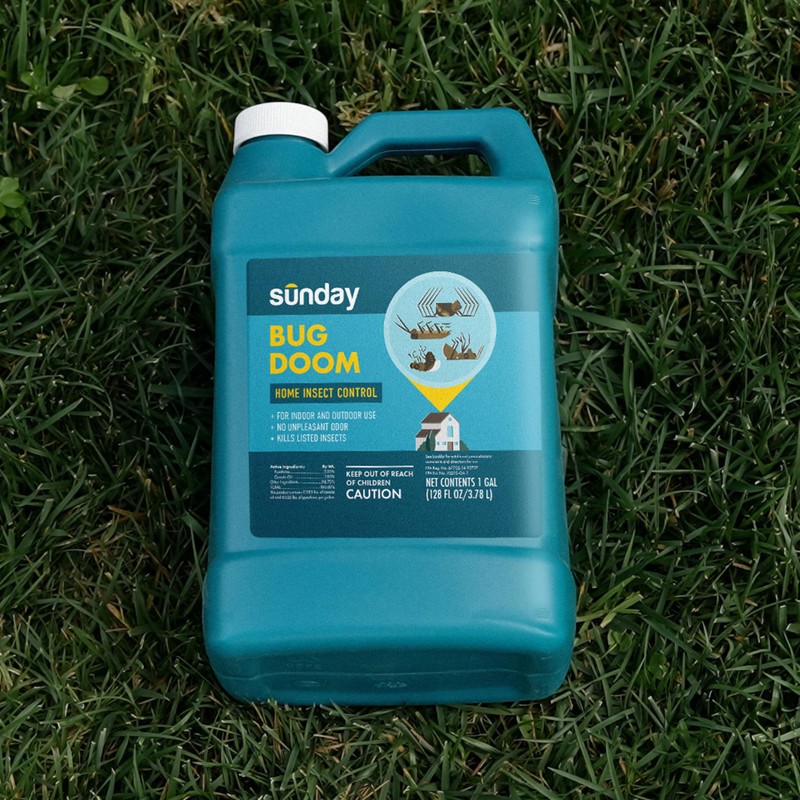 Sunday Bug Doom - Home Insect Spray - Outdoor Insect
