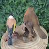 Vivid Arts - British Birds Life Like Robin & Goldfinch