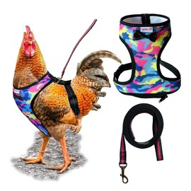 Yesito Chicken Harness Hen Size with 6ft Matching Leash – Adjustable, Resilient, Comfortable, Breathable, Small, Suitable for Chicken Weighing about 2.2 Pound,red (Months, Orange)