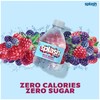 Splash Refresher, Wild Berry Flavor Water Beverage, 8 Fl Oz