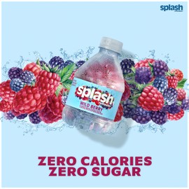 Splash Refresher, Wild Berry Flavor Water Beverage, 8 Fl Oz Plastic Bottles (24 Count)