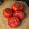 Parks Whopper tomato seeds New for 2025 season 20 count