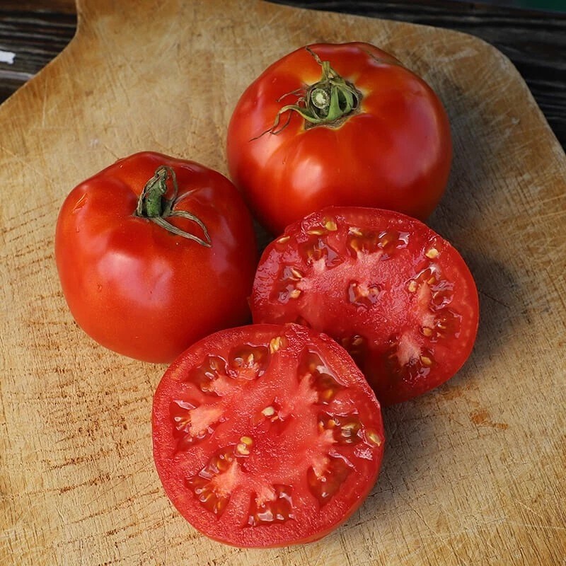 Parks Whopper tomato seeds New for 2025 season 20 count