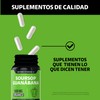 Beyond Vitamins | Soursop Guanábana 1000mg | Extracto 100% Orgánico