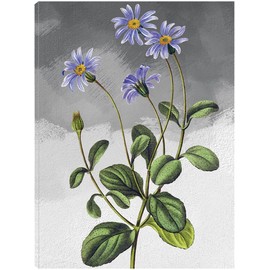 Fine Art Canvas Blue Cineraria Grey Canvas Wall Decor by Artist Design Lab for Living Room, Bedroom, Bathroom, Kitchen, Office, Bar, Dining & Guest Room - Ready to Hang - 21 in x 28 in