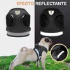 Petluxury Small Dog Harness, No-Pull Reflective Comfortable Breathable Harnesses Vest