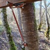 Nelson Treehouse Hardware - Tree Fort Strut Backup