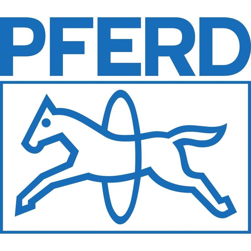 Pferd workshop file, square, 200 mm, square, tapered file, cross