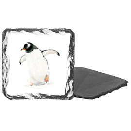 Penguin Design Slate Drinks Coaster, Square 9 cm, Arctic Wildlife Collection