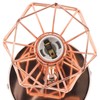 Swing Arm Wall Lamp 350 Degree Rotary Cage Shade Iron