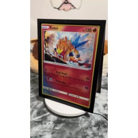 Unbranded Pokémon-Raikou