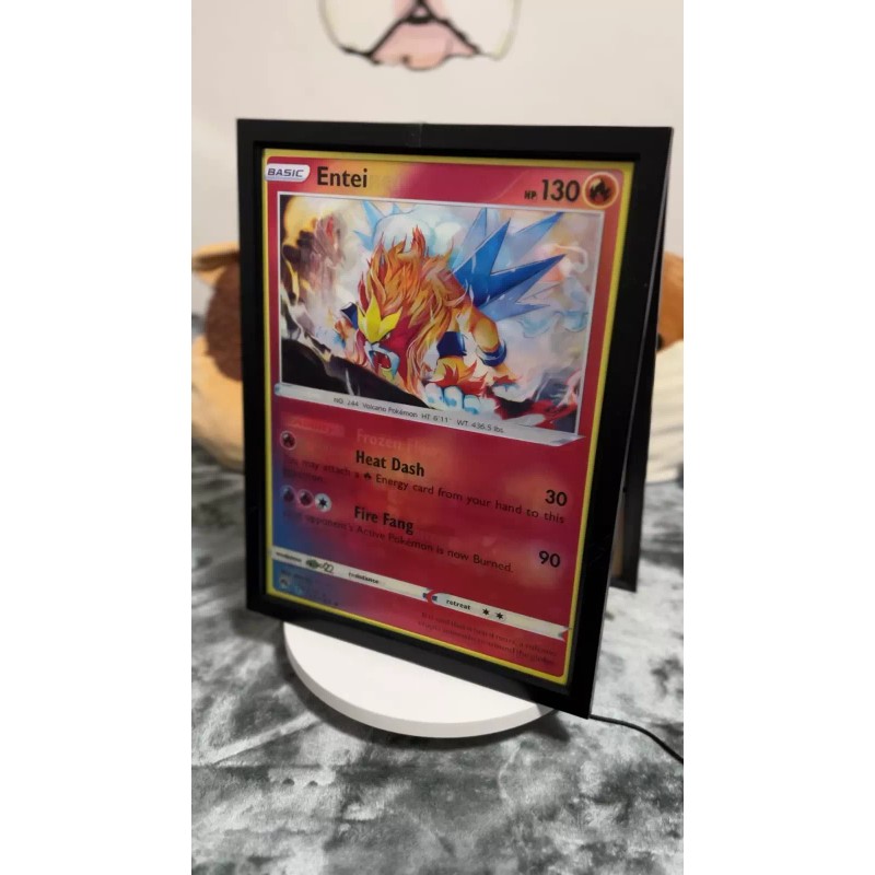 Unbranded Pokémon-Raikou