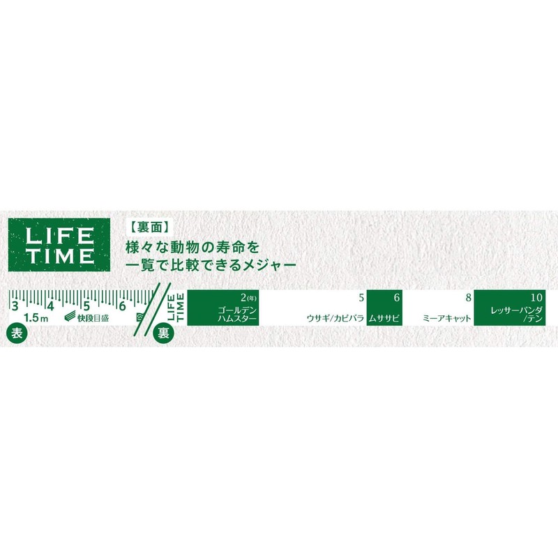 Niigata Seiki YA72002 2ai4 JYACK Stripe Measure Quick Scale Green