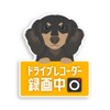 Takasu Shoten Uchiko Dash Cam Recording Magnet Sticker Sticker Car