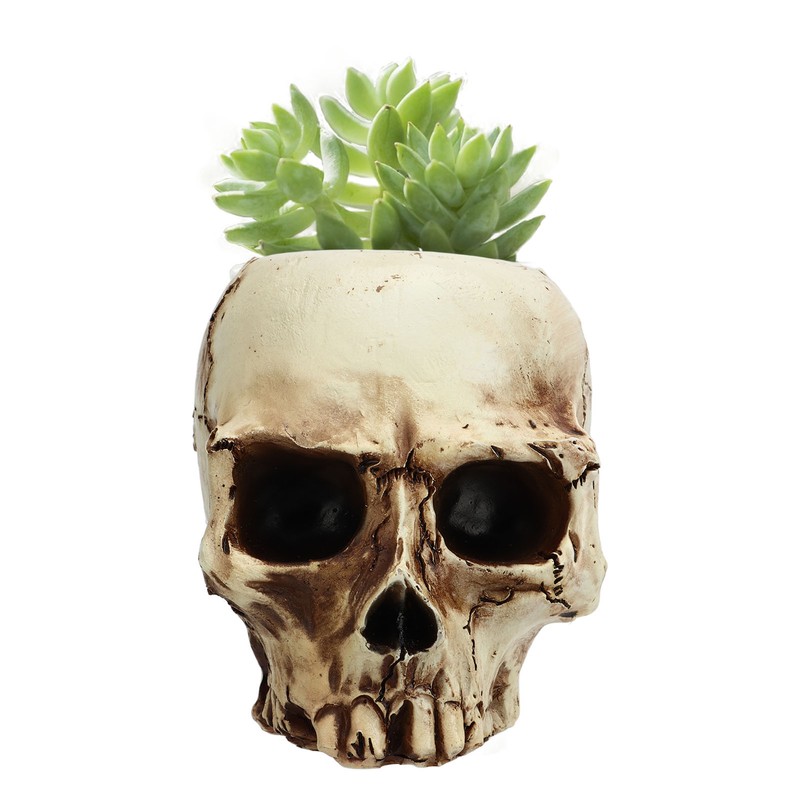 Skull Head Flower Pot Resin High Strength Clear Shape Skull