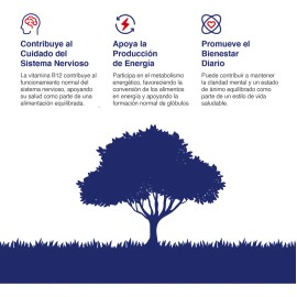 Bioganic Vitamina B12 Lquida Sublingual Paquete de 5, Vegano, Sin Azucar, Sin Gluten, 1200 Tomas En Total, 240 Tomas Por Envase, Sabor Arndano, Rinde 