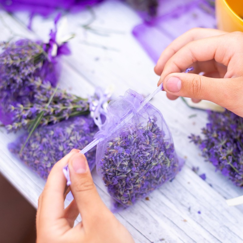 OLILLY 2022 HARVEST - Sachets of Lavender from Provence –