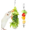 Amaezorx 2Pcs Stainless Steel Rat Foraging Toys, Hanging Rodent Enrichment