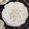 Eco Flower Sola Wood Flowers - One Dozen Wholesale
