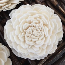 Eco Flower Sola Wood Flowers - One Dozen Wholesale