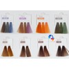 MUSK Professional Hair Salon MOCHEQI Musk Colour Cream Hair Color