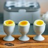 CRDLB0001 Egg Steamer, Boiled Egg Maker, Boiled Egg Machine, Voice