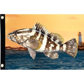 Premier Kites 55118 Seafarer Flag, Grouper, 12 by 17-Inch