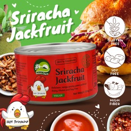 Nature's Charm Sriracha Jackfruit – Vegane Köstlichkeit mit angenehmer Schärfe – Ideal für Salate, Currys und Suppen – 1 x 200 g