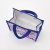 Skater FBC1-A Non-Woven Insulated Lunch Bag, 10.4 x 10.6 inches