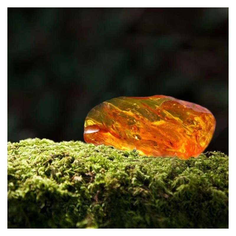 Oakmoss and Amber Home Fragrance Oil for Oil Warmer and