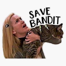 Save Bandit Bumper Sticker Vinyl Decal 5 inches