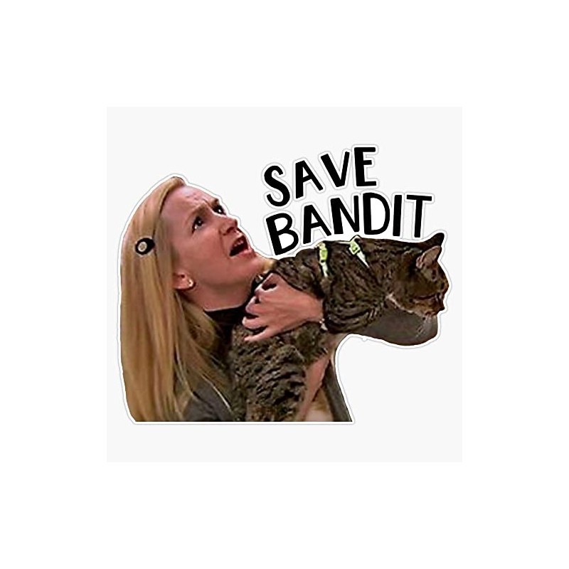 Save Bandit Bumper Sticker Vinyl Decal 5 inches