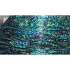 GOMMO Blue Paua Shell Veneer Sheet Enhanced for Inlay and