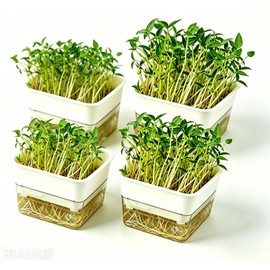 QISHENG - 4 Pack Microgreens Grow Kit,Soil-Free Cultivation Germination Tray,BPA-Free Indoor Sprouting Kit for Growing Bean Sprouts/Organic Seeds/Broccoli/Alfalfa/Radish/Clover (Beige)