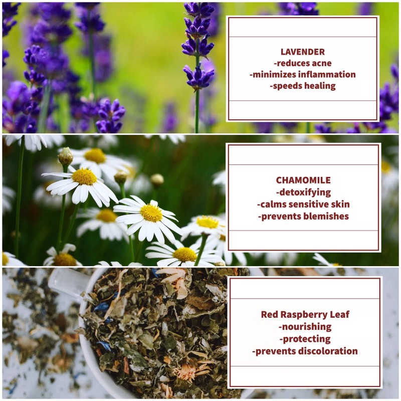 Electrologists Formula Permanent Hair Reduction At Home-Professio