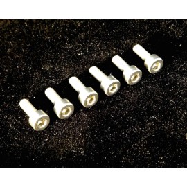 Undisclosed FU-TONE Saddle Mounting Screw Set (6) - Silver