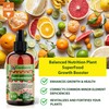 𝐁𝐄𝐒𝐓𝐒𝐄𝐋𝐋𝐄𝐑 Plant Superfood for Olive Tree with B1 Vitamin, Glucose