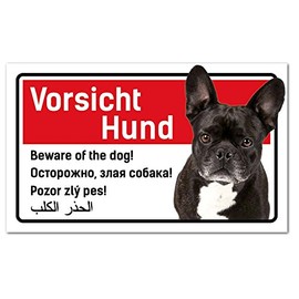 Caution Dog Sign 5 Languages 25 x 15 cm French Bulldog / Bully