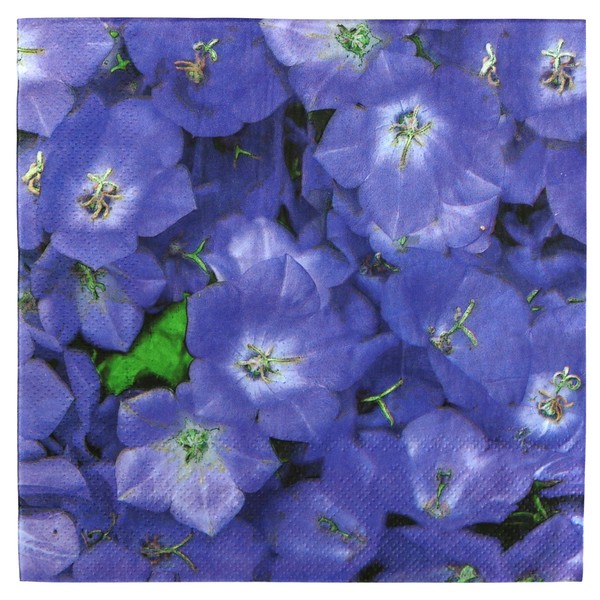 Iconikal Disposable Dinner Paper Party Napkins, Violets, 75-Count