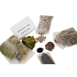 Eternal Terrarium Set. All Included. Green