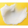 Burt's Bees Shea and Passion Fruit Oil Moisturizing Lip Balm