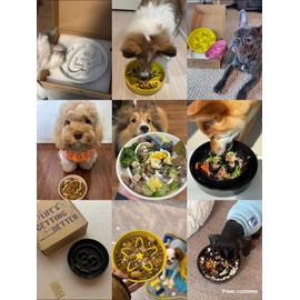 LE TAUCI Ceramic Slow Feeder Dog Bowls Small Breed, 0.6 Cups Dog Food Dish for Fast Eaters, Puzzle Bowl for Small Dogs and Cats,Skull Black