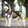 WINSEE Dog Harness, For Small/Medium/Large Dogs, Noble Training, Escape Prevention,