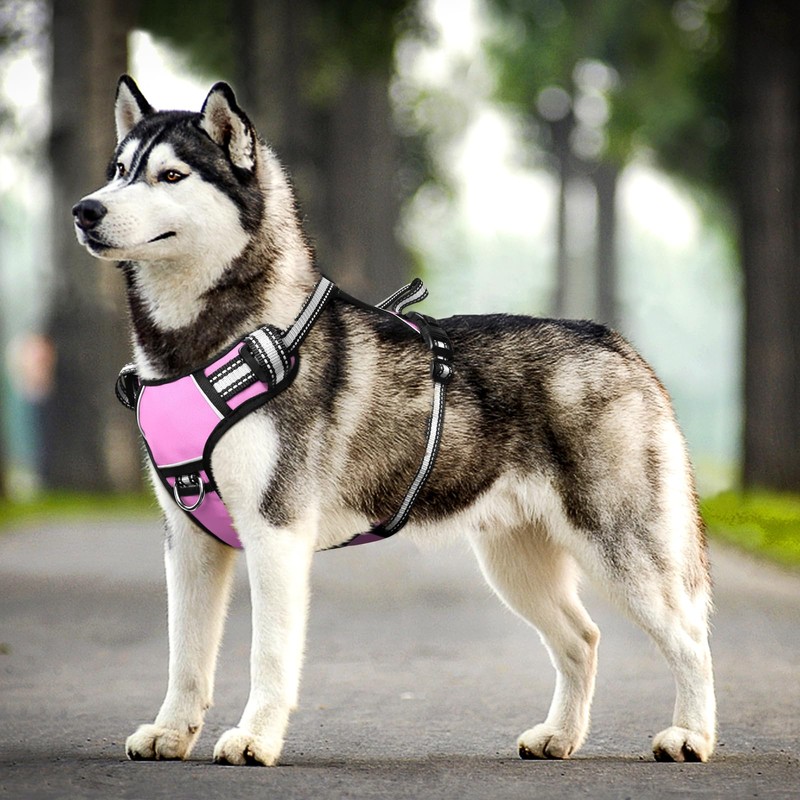 WINSEE Dog Harness, For Small/Medium/Large Dogs, Noble Training, Escape Prevention,