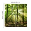 Forest Curtains, Trees Sunlight Shower Curtain Wild Natural Landscape Trees