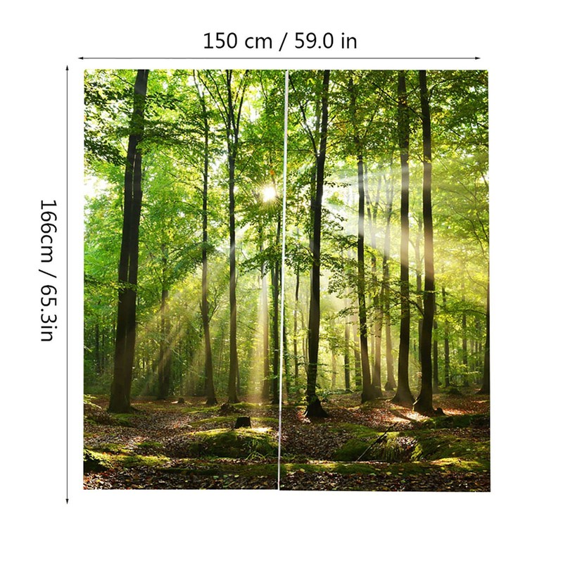 Forest Curtains, Trees Sunlight Shower Curtain Wild Natural Landscape Trees